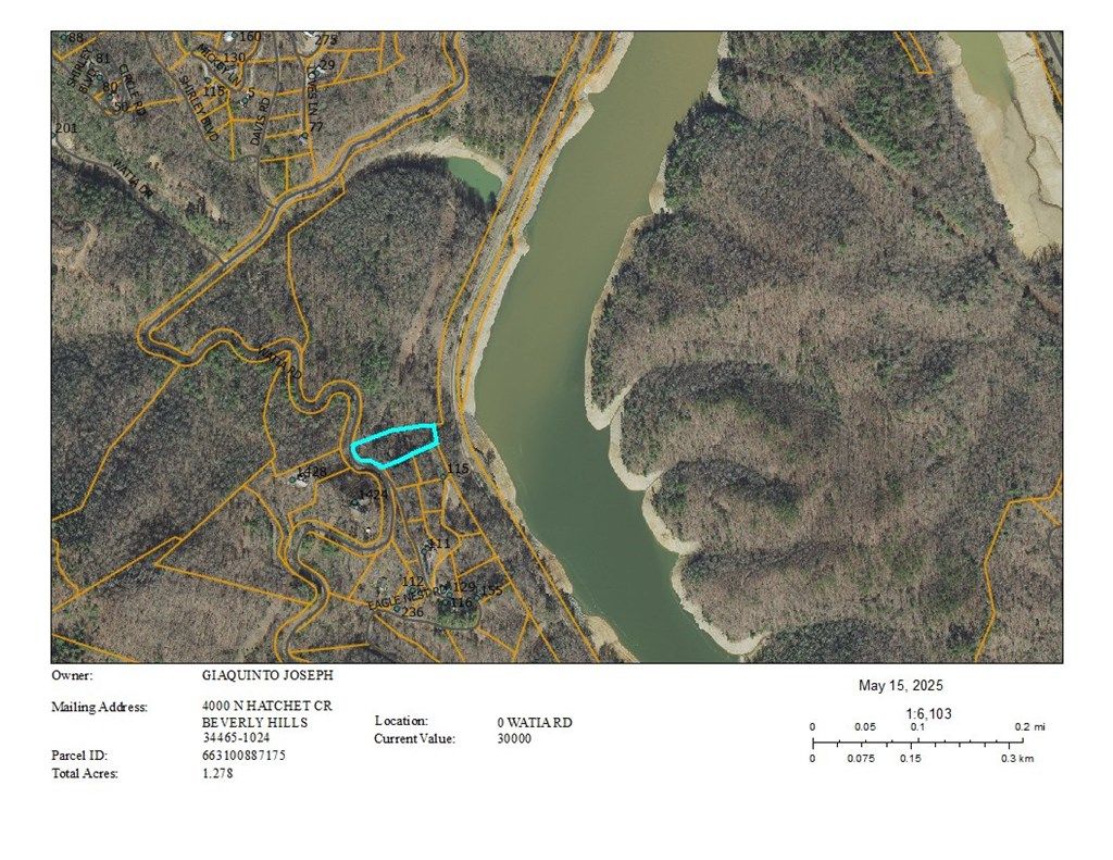 Photo of 0 Watia Rd, Bryson City, NC 28713 (MLS # 26040957)