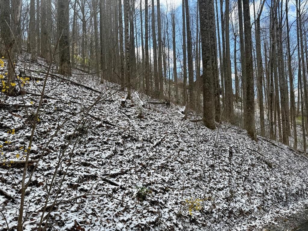 Photo of 0 Letties Ln, Balsam, NC 28779 (MLS # 26046636)