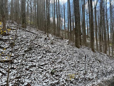 Photo of 0 Letties Ln, Balsam, NC 28779 (MLS # 26046636)