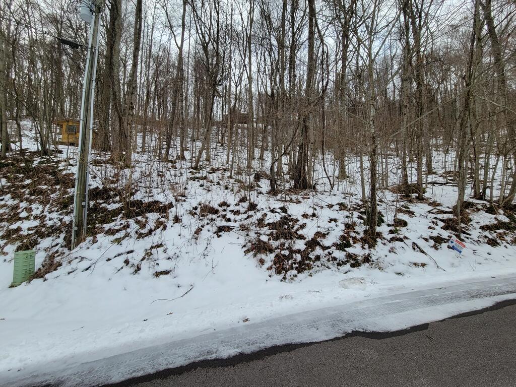 Photo of 200 Village Ln, Waynesville, NC 28786 (MLS # 26048733)