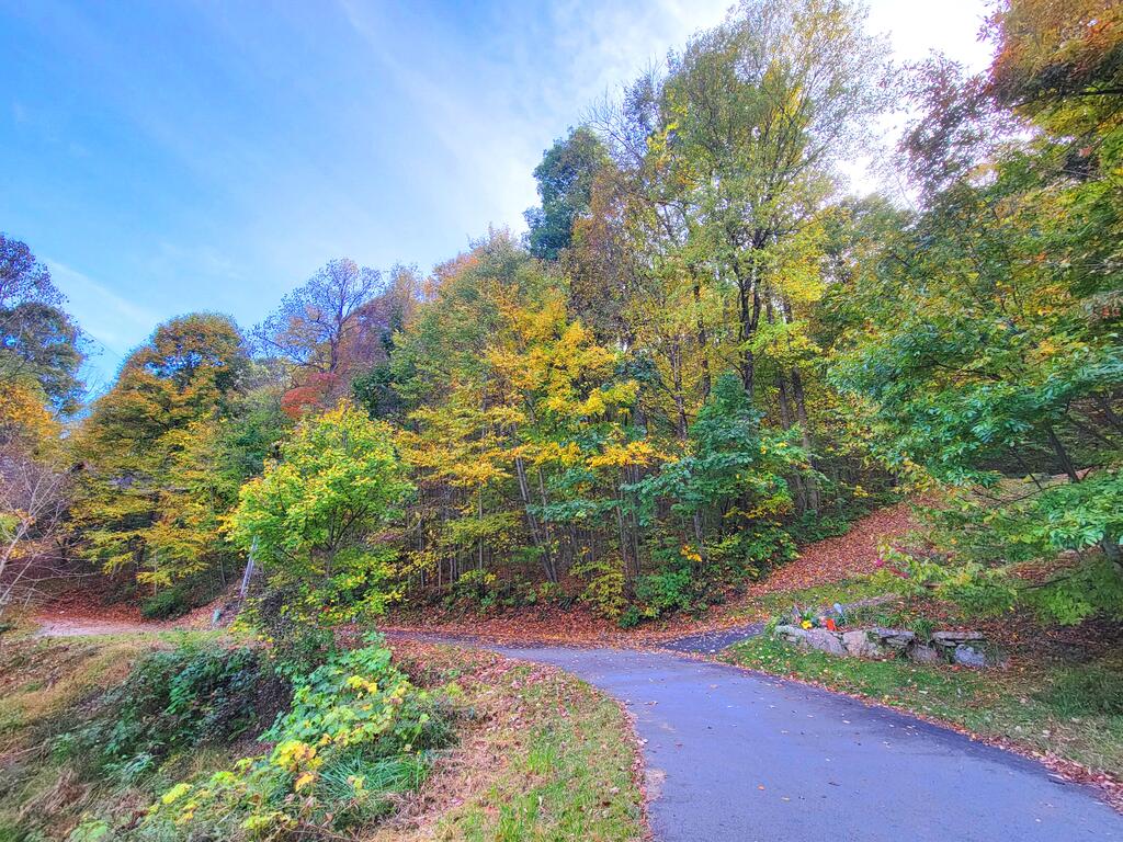 Photo of 200 Village Ln, Waynesville, NC 28786 (MLS # 26048733)
