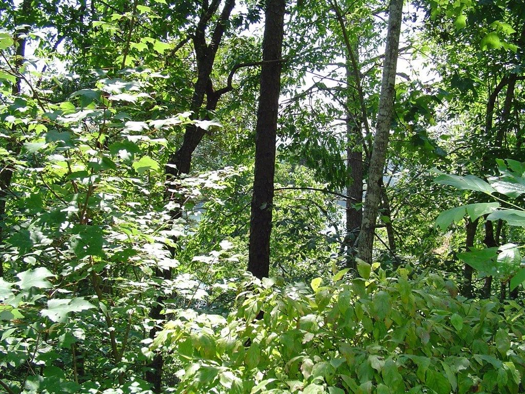 Photo of Lot 40-1 Fontana Circle, Bryson City, NC 28713 (MLS # 26042072)