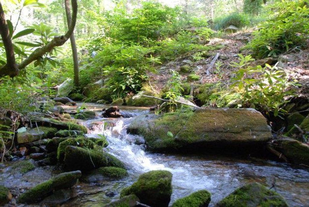 Photo of Lot 4 Flint Ridge Rd, Bryson City, NC 28713 (MLS # 26040100)