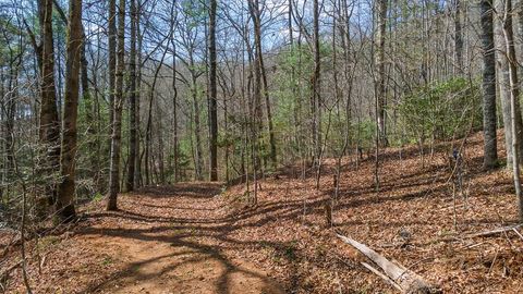 Photo of 00 Woodland Cove, Franklin, NC 28734 (MLS # 26046903)