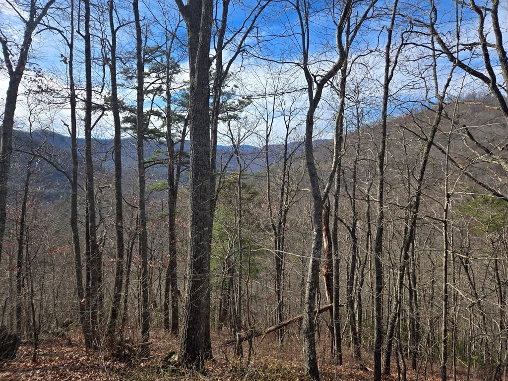 Photo of 000 Stone Pillow Road, Tuckasegee, NC 28783 (MLS # 26042907)