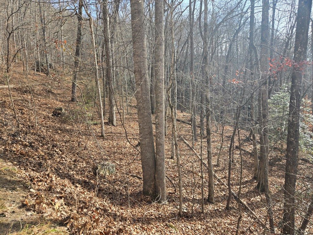 Photo of 000 Stone Pillow Road, Tuckasegee, NC 28783 (MLS # 26042907)