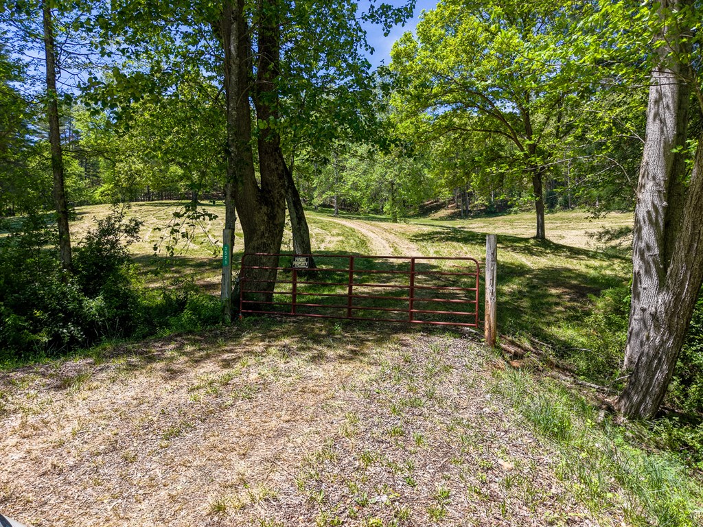 3521 Patton Road