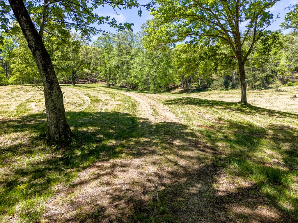 3521 Patton Road