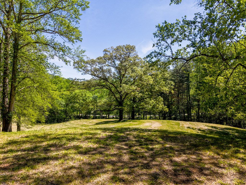3521 Patton Road