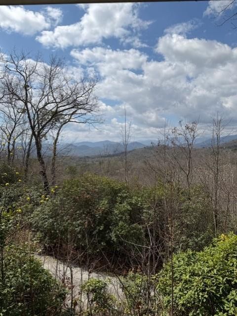 Photo of 1654 Snow Hill Falls Circle, Franklin, NC 28734 (MLS # 26046782)