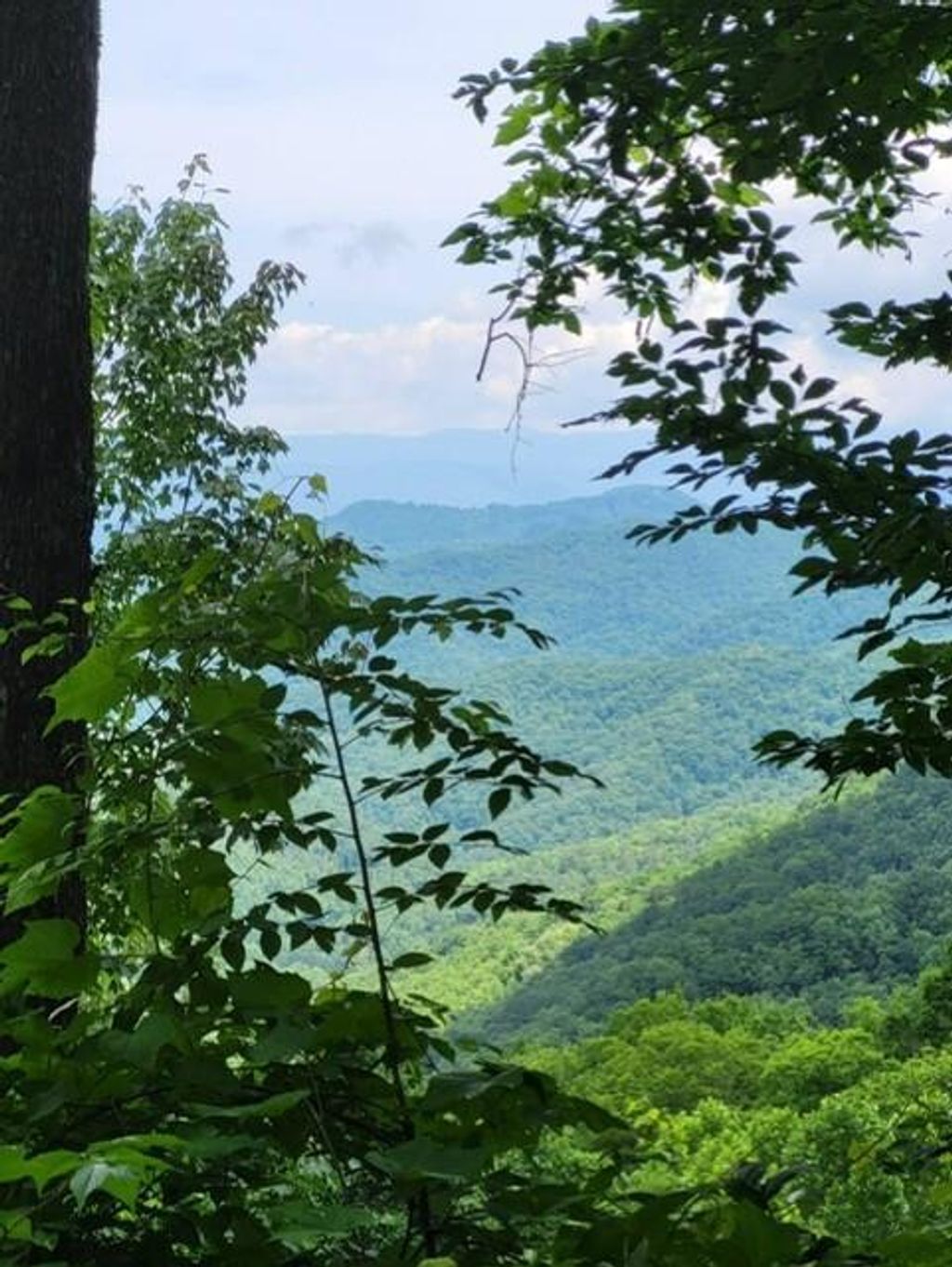 Photo of 0 Big Bench Rd, Bryson City, NC 28713 (MLS # 26047682)