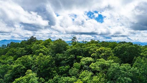 Photo of 0 Big Bench Rd, Bryson City, NC 28713 (MLS # 26047682)