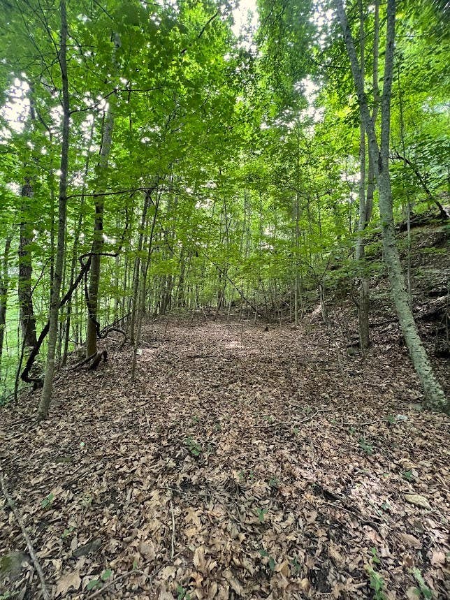 Photo of 0 Friendship Walk, Bryson City, NC 28713 (MLS # 26047924)