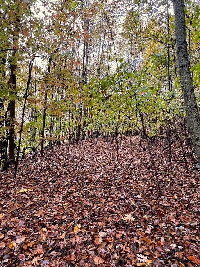 Photo of 0 Friendship Walk, Bryson City, NC 28713 (MLS # 26047924)