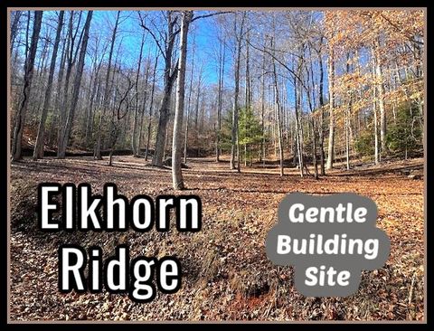 Photo of Lot 44 Elkhorn Ridge Dr, Franklin, NC 28734 (MLS # 26043077)