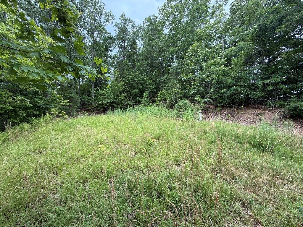 Photo of Lot 7 Butternut Ridge, Bryson City, NC 28713 (MLS # 26041402)