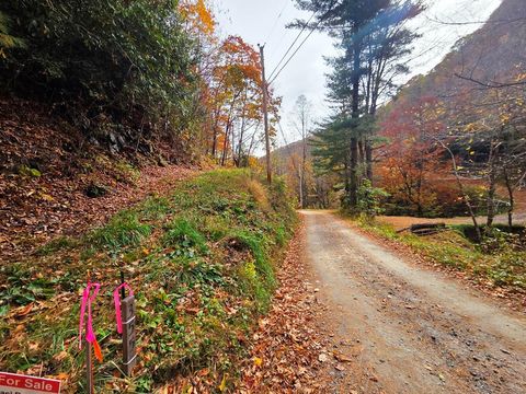 Photo of 355 Moonshineholler Dr, Maggie Valley, NC 28751 (MLS # 26042545)