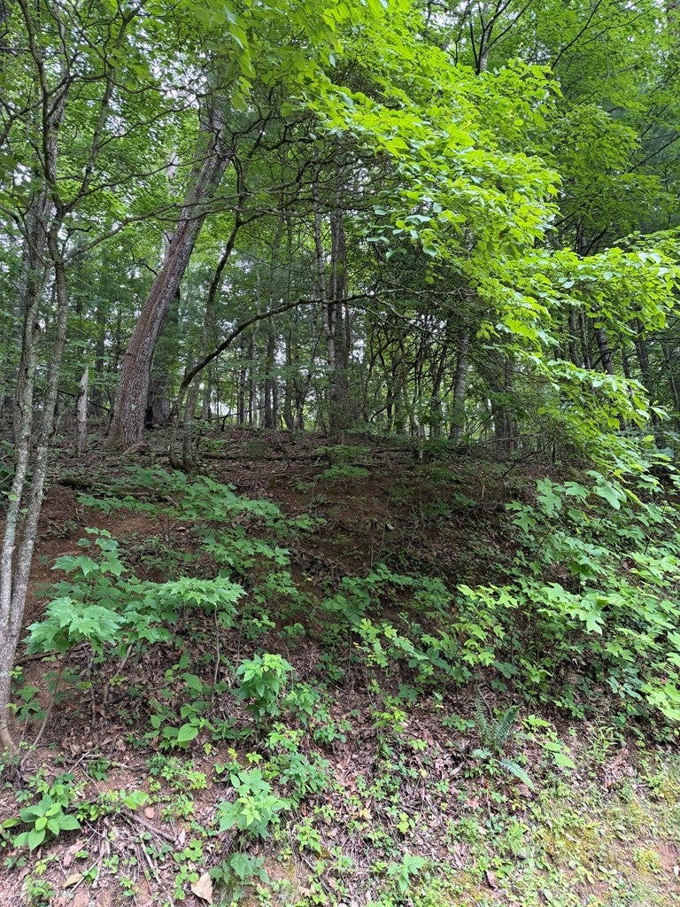 Lot #38 Winding Way Dr