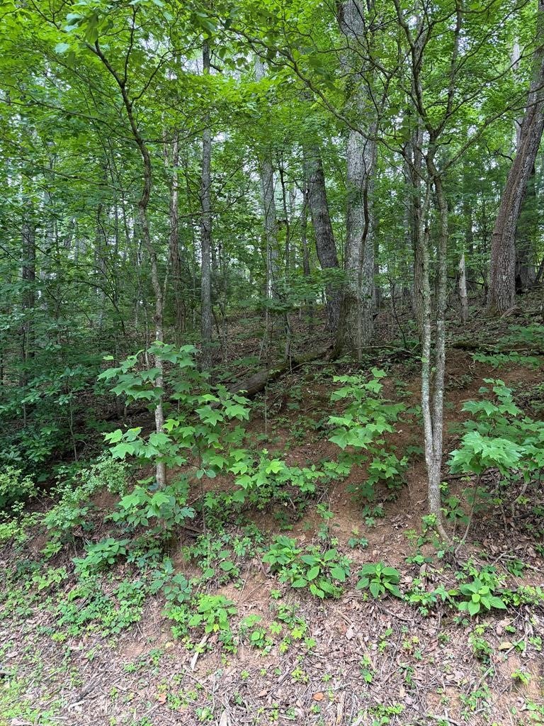 Lot #38 Winding Way Dr