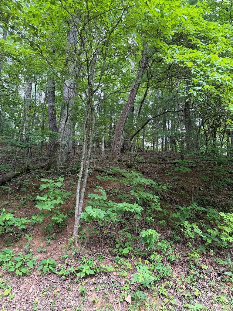 Lot #38 Winding Way Dr