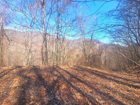 Photo of 1200 Chestnut Flats Rd, Waynesville, NC 28786 (MLS # 26046626)