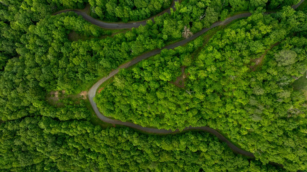 00 Upper Dalton Creek Road