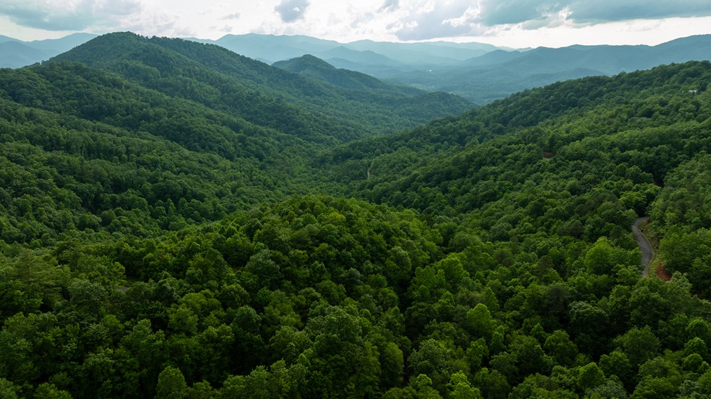 00 Upper Dalton Creek Road