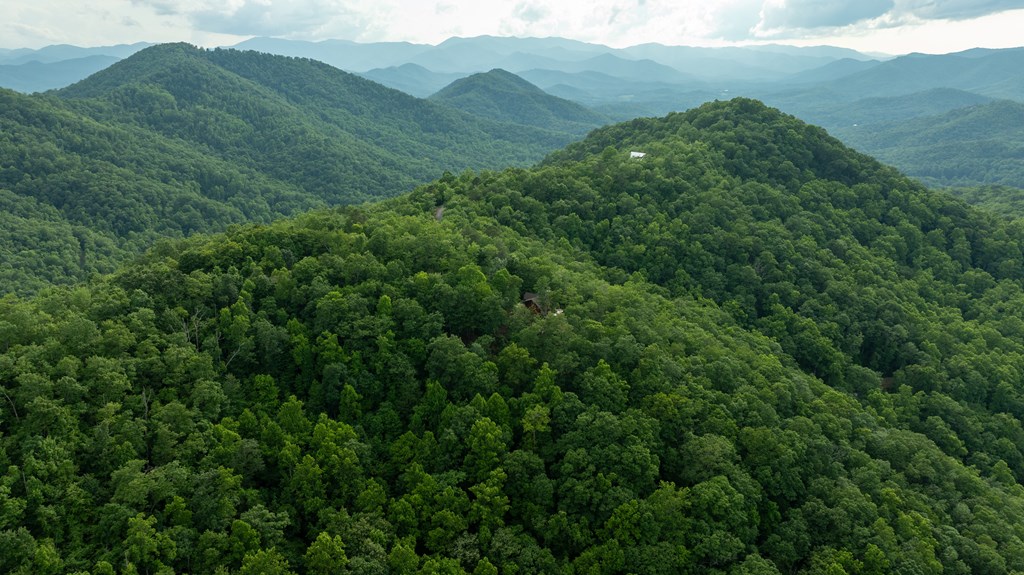 00 Upper Dalton Creek Road