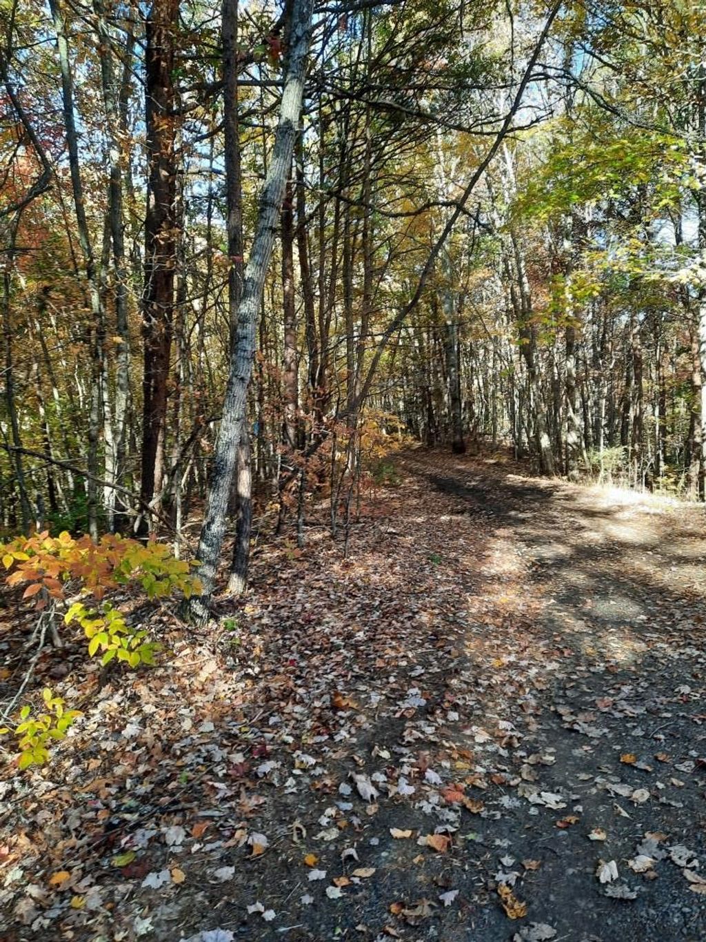 Photo of 0000 Dog Leg Road, Whittier, NC 28789 (MLS # 26042490)