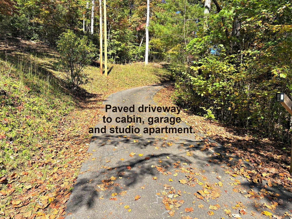 Photo of 1115 Camp Creek Rd, Whittier, NC 28789 (MLS # 26048797)