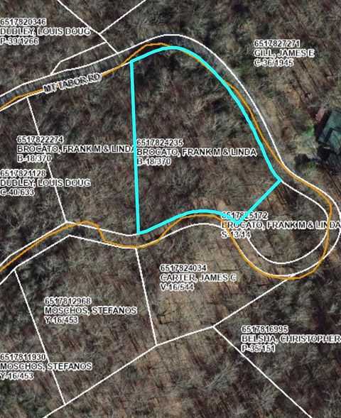 Photo of Lot 11 Mt Tabor Road, Topton, NC 28781 (MLS # 26046908)