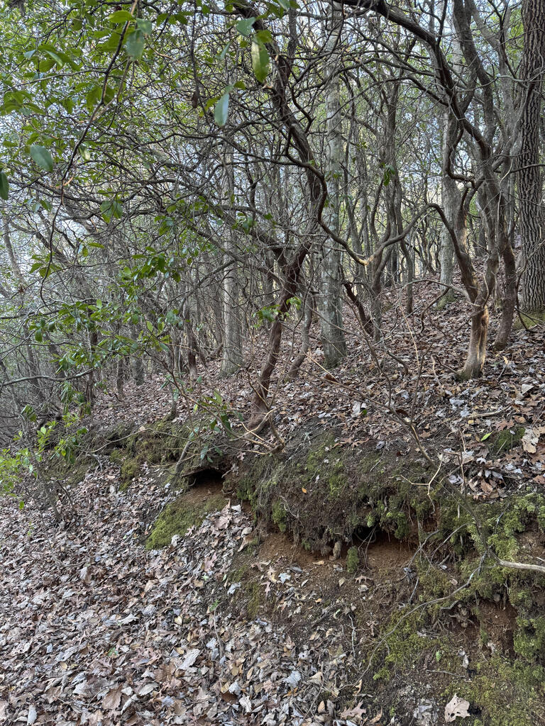 Photo of Lot 41 S Country Club Drive, Cullowhee, NC 28723 (MLS # 26048503)