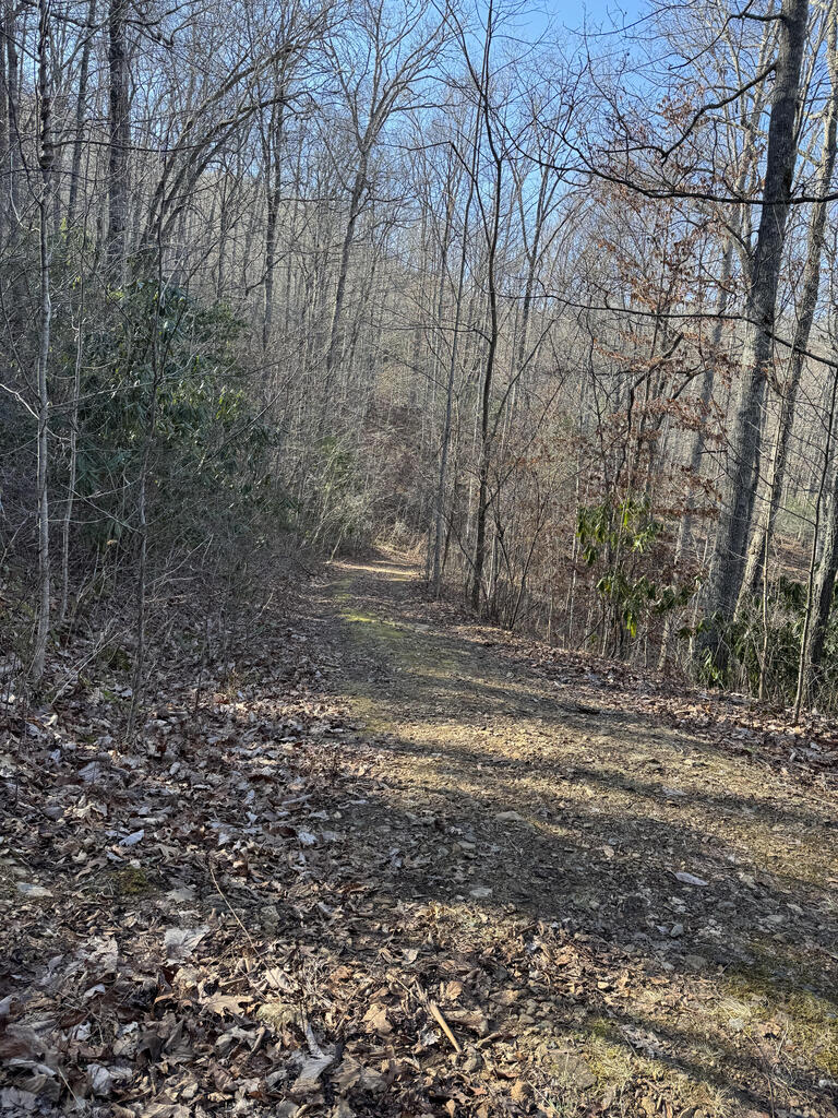 Photo of Lot 41 S Country Club Drive, Cullowhee, NC 28723 (MLS # 26048503)