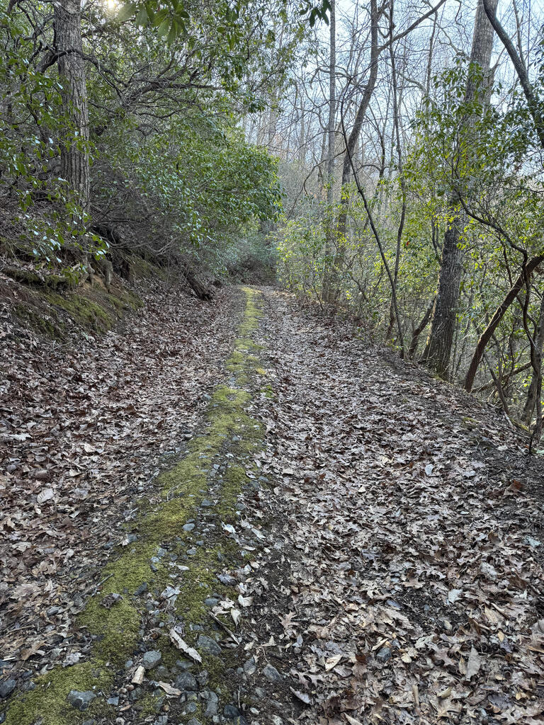 Photo of Lot 41 S Country Club Drive, Cullowhee, NC 28723 (MLS # 26048503)