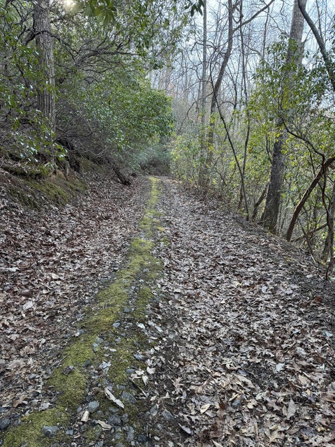 Photo of Lot 41 S Country Club Drive, Cullowhee, NC 28723 (MLS # 26048503)
