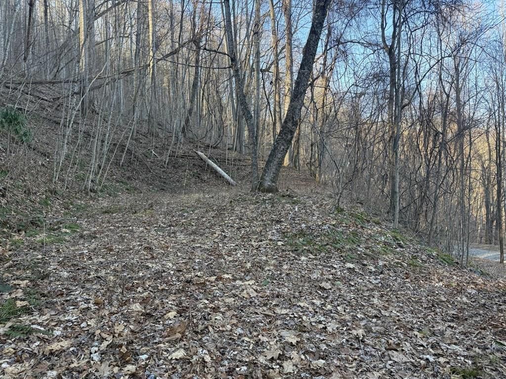 Photo of 0 Mountain Dr, Bryson City, NC 28713 (MLS # 26045278)