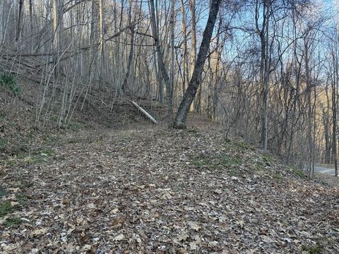 Photo of 0 Mountain Dr, Bryson City, NC 28713 (MLS # 26045278)