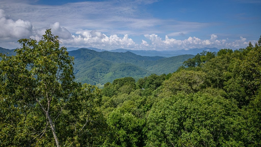 Photo of 241 Golden Hawk Drive, Bryson City, NC 28713 (MLS # 26048370)