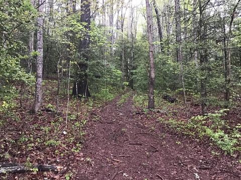 Photo of 00 Low Brace Rd, Franklin, NC 28734 (MLS # 26045486)