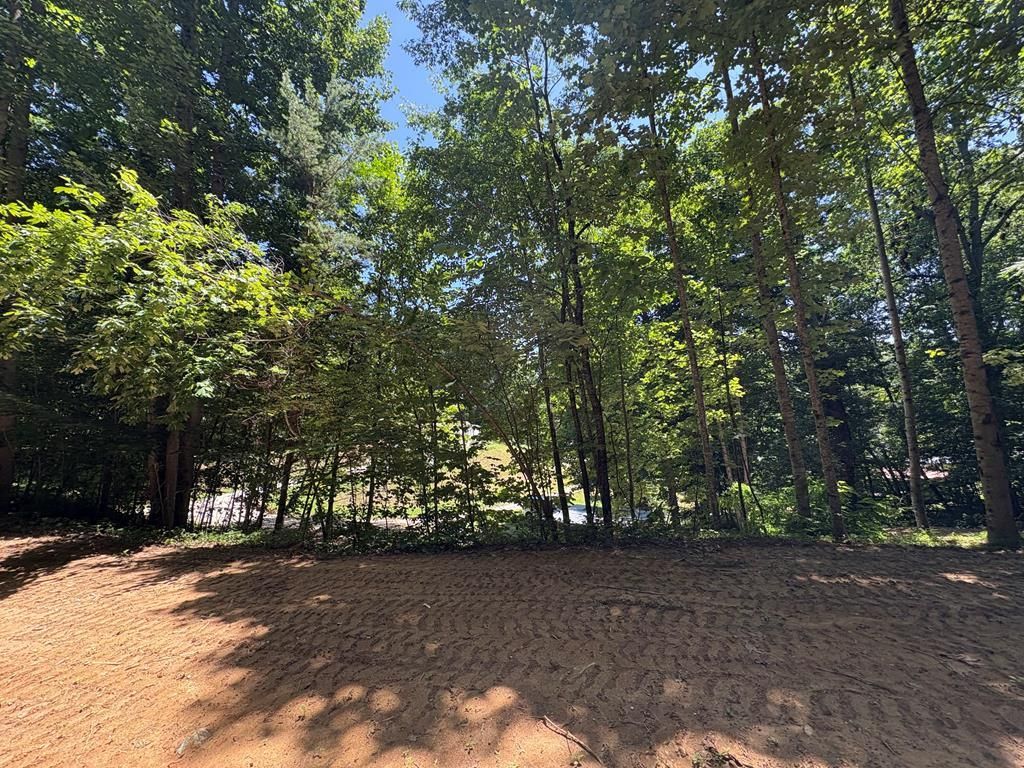 Photo of 0 Sherrill Rd, Bryson City, NC 28713 (MLS # 26047329)