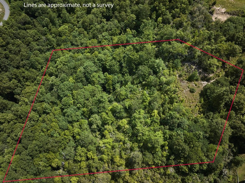 Photo of Lot 24 Piedmont Rd, Bryson City, NC 28713 (MLS # 26041534)