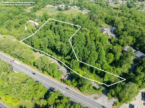 Photo of TBD Harkins Cove Road, Canton, NC 28716 (MLS # 26047328)