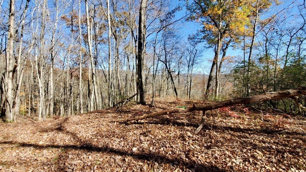 Photo of Lot 101 Mountain Vista, Bryson City, NC 28713 (MLS # 26037970)