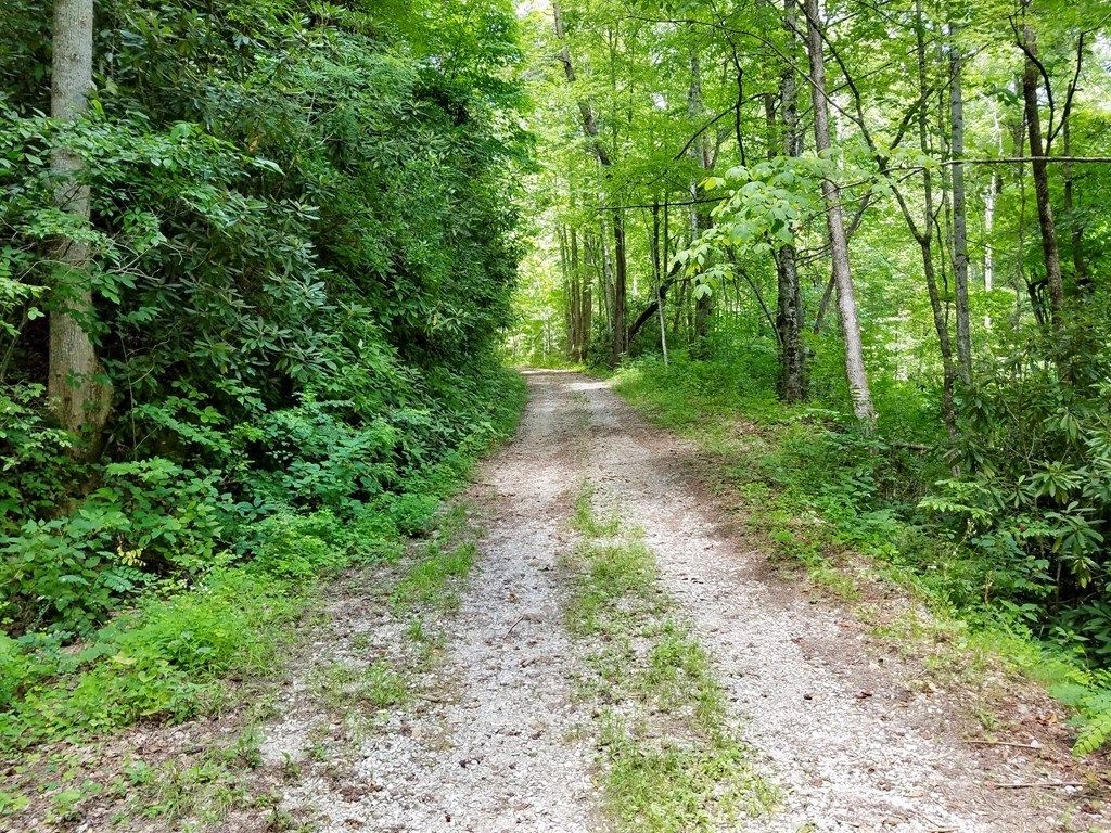 Photo of Lot 101 Mountain Vista, Bryson City, NC 28713 (MLS # 26037970)