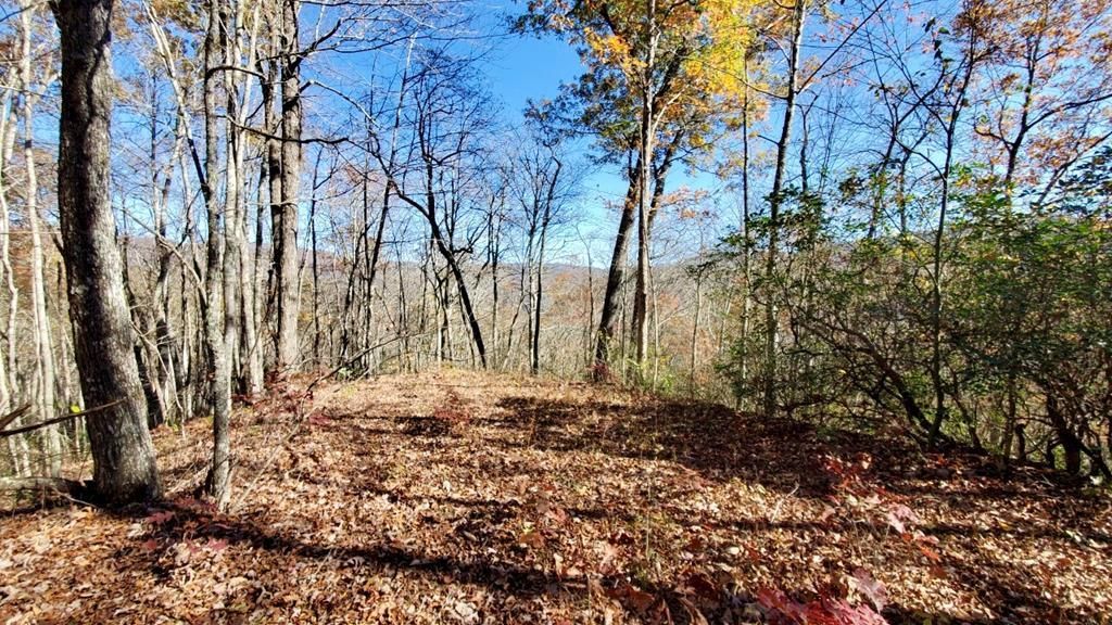 Photo of Lot 101 Mountain Vista, Bryson City, NC 28713 (MLS # 26037970)