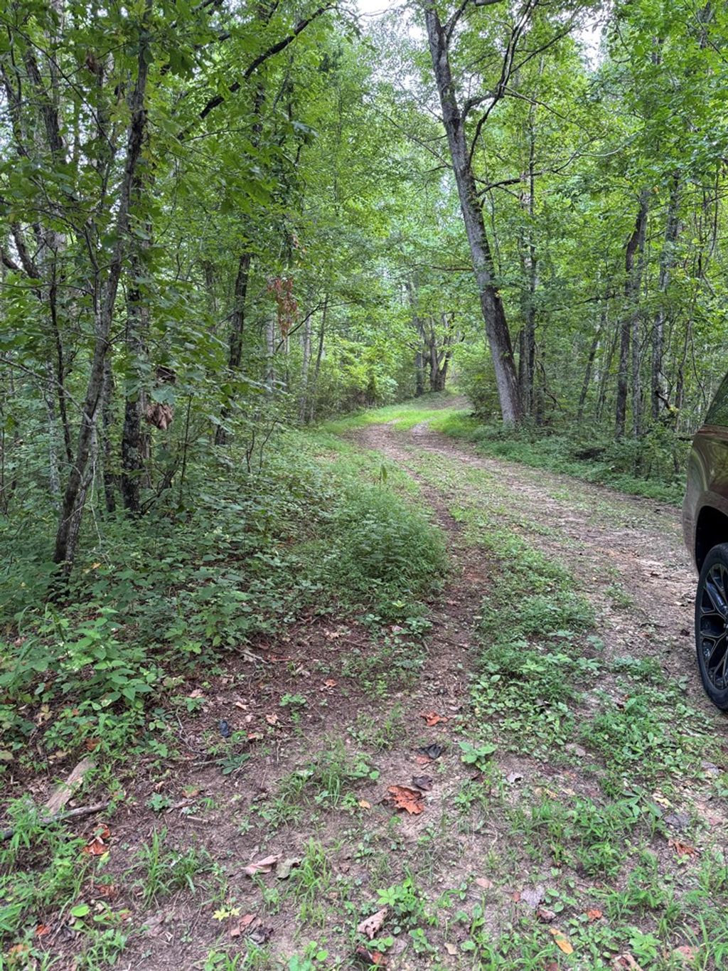 Photo of 0 Upper Pigeon Creek, Bryson City, NC 28713 (MLS # 26042120)