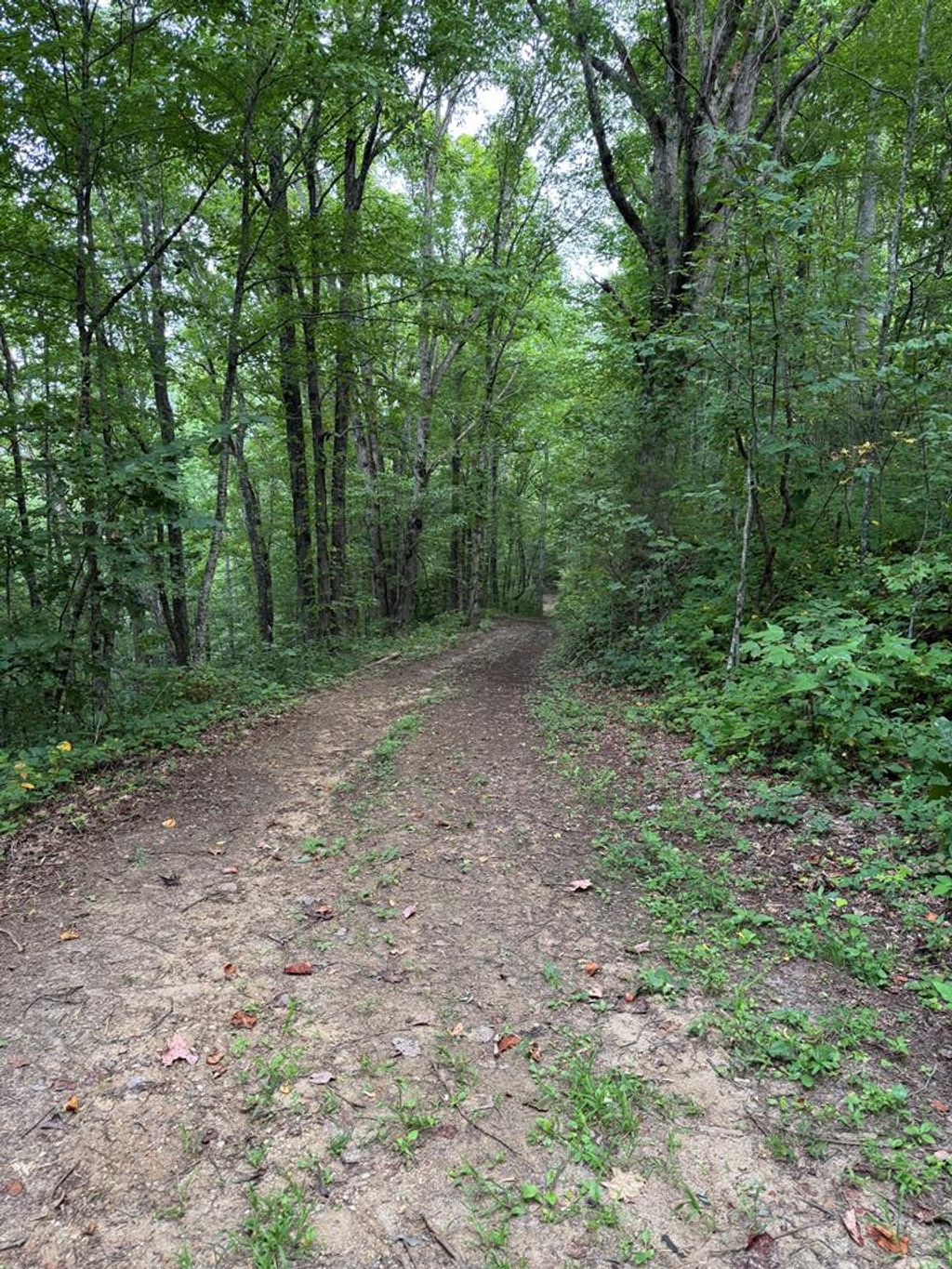 Photo of 0 Upper Pigeon Creek, Bryson City, NC 28713 (MLS # 26042120)