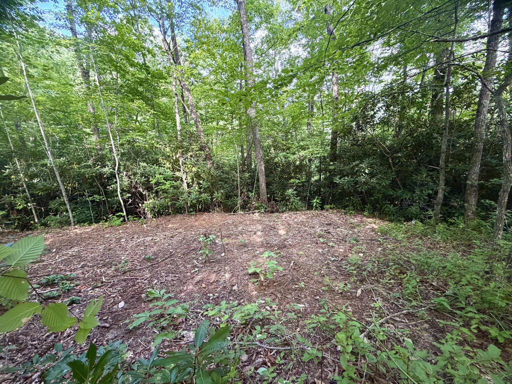 Photo of 00 Sr 1240 Sawyers Creek Road, Robbinsville, NC 28771 (MLS # 26048363)