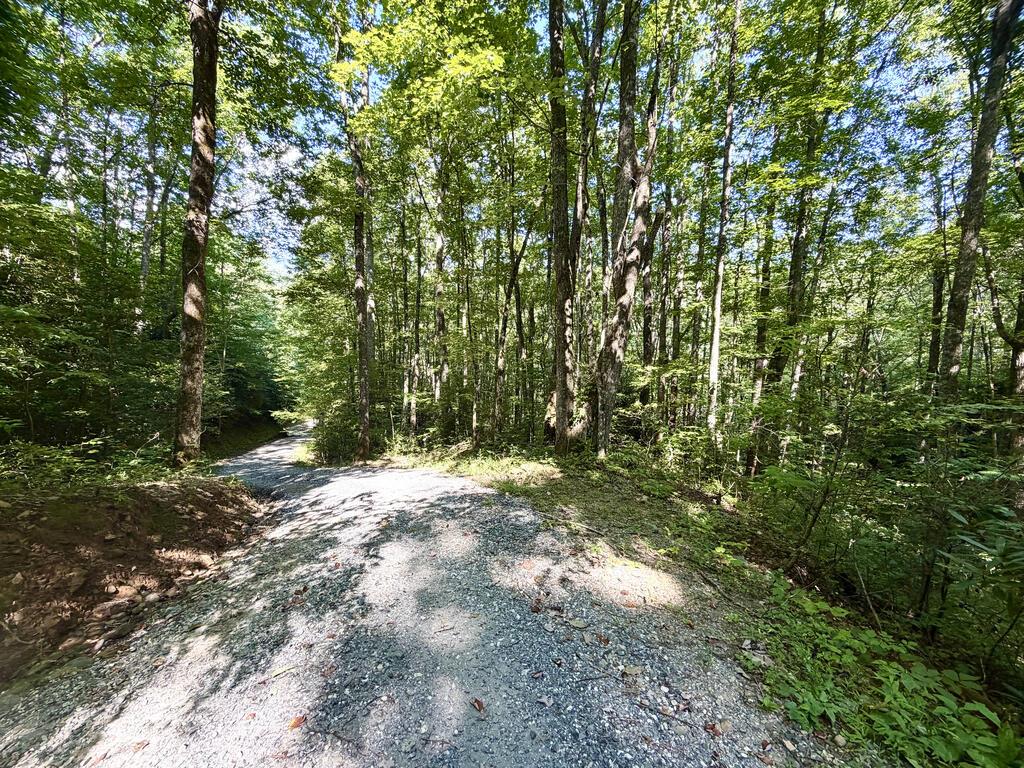 Photo of 00 Sr 1240 Sawyers Creek Road, Robbinsville, NC 28771 (MLS # 26048363)