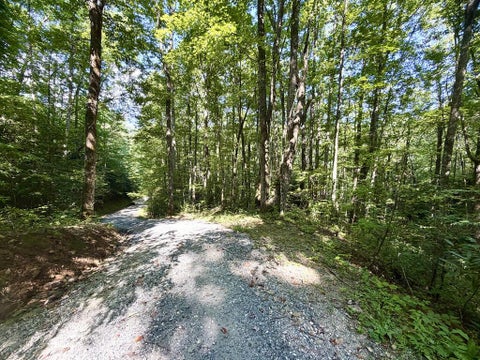 Photo of 00 Sr 1240 Sawyers Creek Road, Robbinsville, NC 28771 (MLS # 26048363)